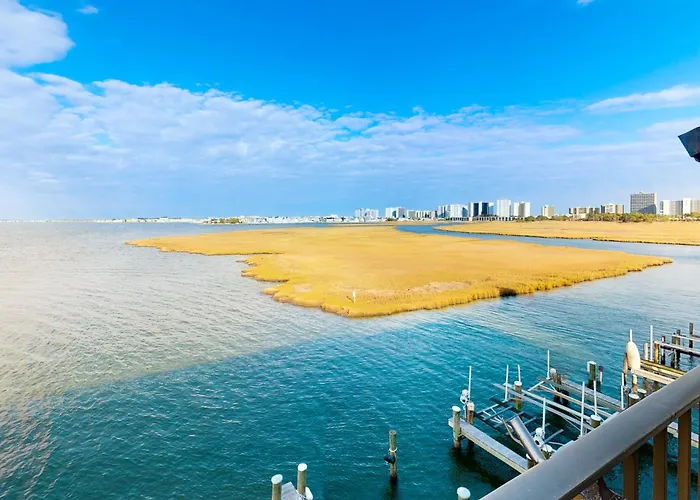 Pintail Point